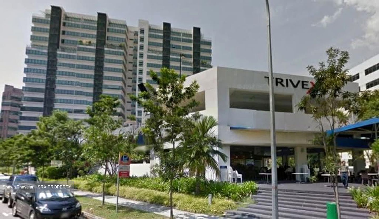 Trivex (D13), Factory #602689861